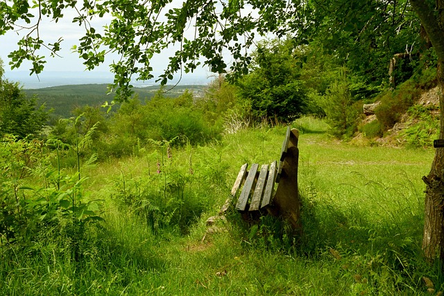 和造犯规 和造犯规