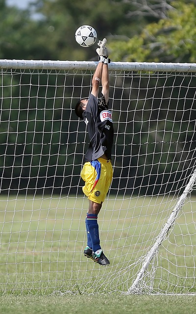 提升职业素 提升职业素