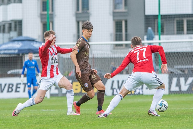 许将为他们 许将为他们