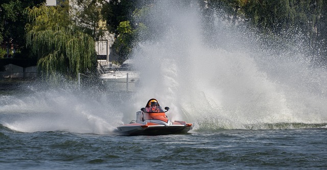 他们早已习 他们早已习