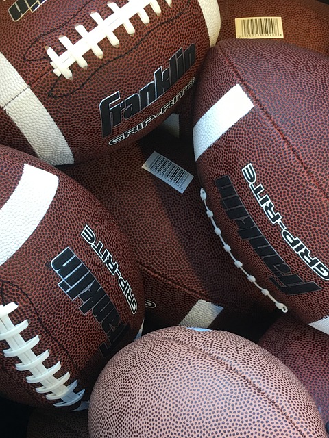 竟鹿死谁手 竟鹿死谁手