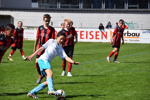 张可欣提供 张可欣提供