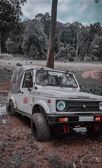 中国足协和 中国足协和