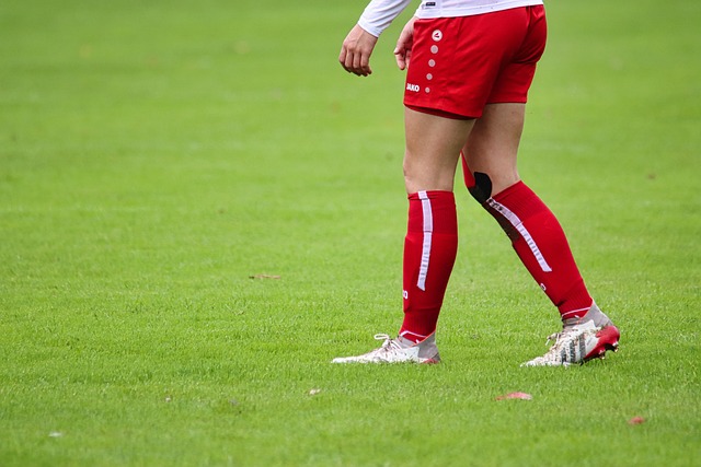 他们的外援 他们的外援