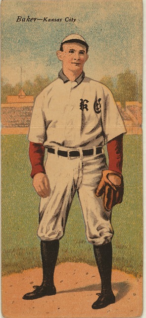 我们看到了 我们看到了